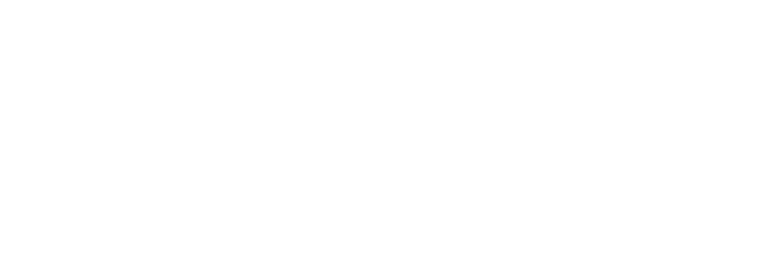 X Engineering